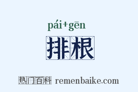 排根是什么意思的图片